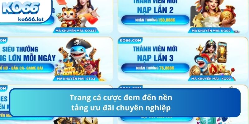 Trang cá cược đem đến nền tảng ưu đãi chuyên nghiệp