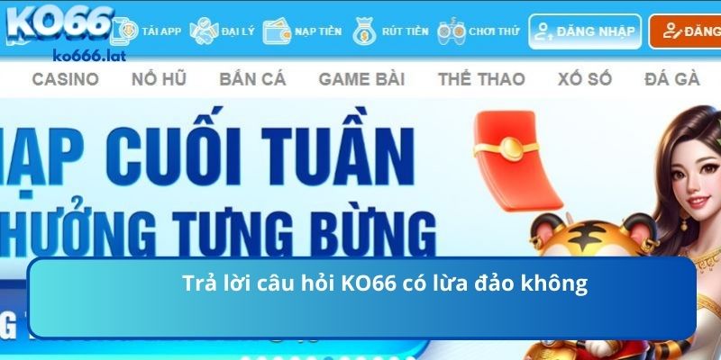 Trả lời câu hỏi KO666 có lừa đảo không